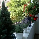 Apartman 24 Centrum Mieszkanie Srodmiescie