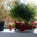 24 Centrum Mieszkanie Srodmiescie