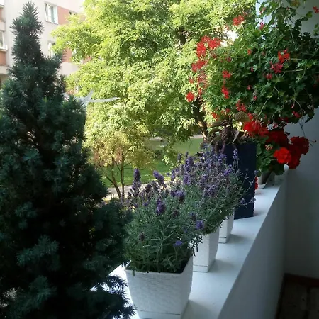Appartamento 24 Centrum Mieszkanie Srodmiescie