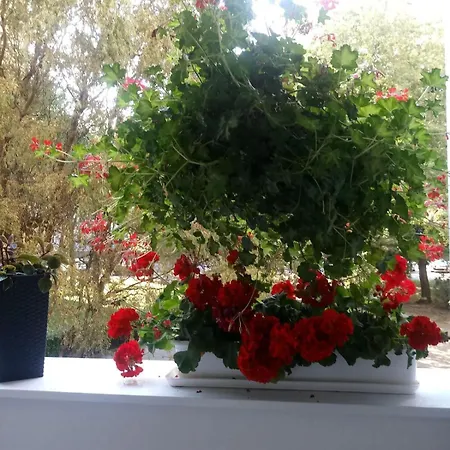 24 Centrum Mieszkanie Srodmiescie