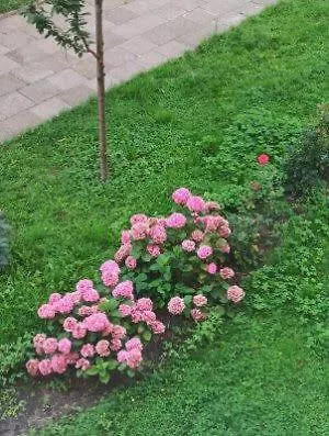24 Centrum Mieszkanie Srodmiescie Appartamento Gdynia