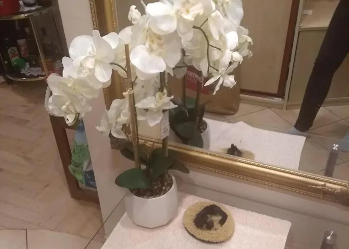 24 Centrum Mieszkanie Srodmiescie Gdyně