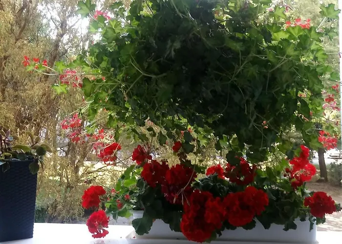 24 Centrum Mieszkanie Srodmiescie