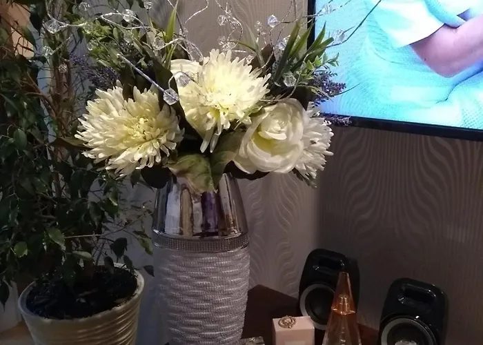 24 Centrum Mieszkanie Srodmiescie *